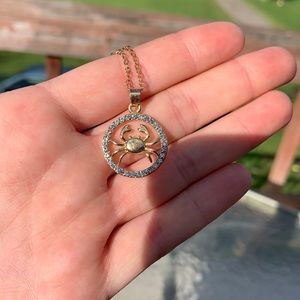 Cancer zodiac sign necklace